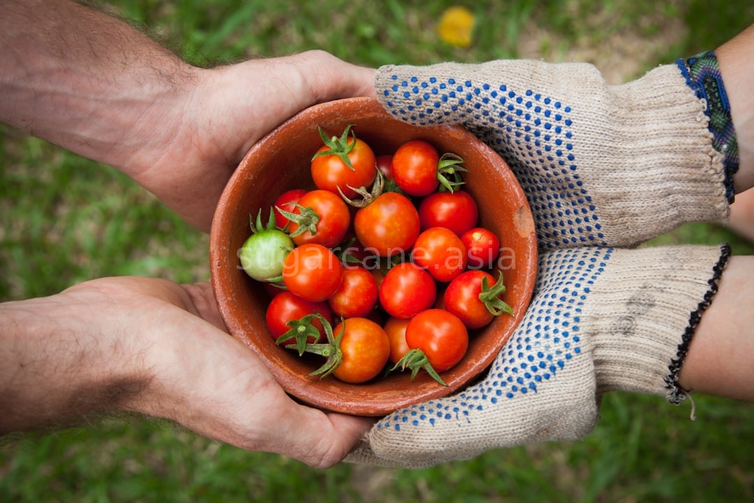 Harvesting