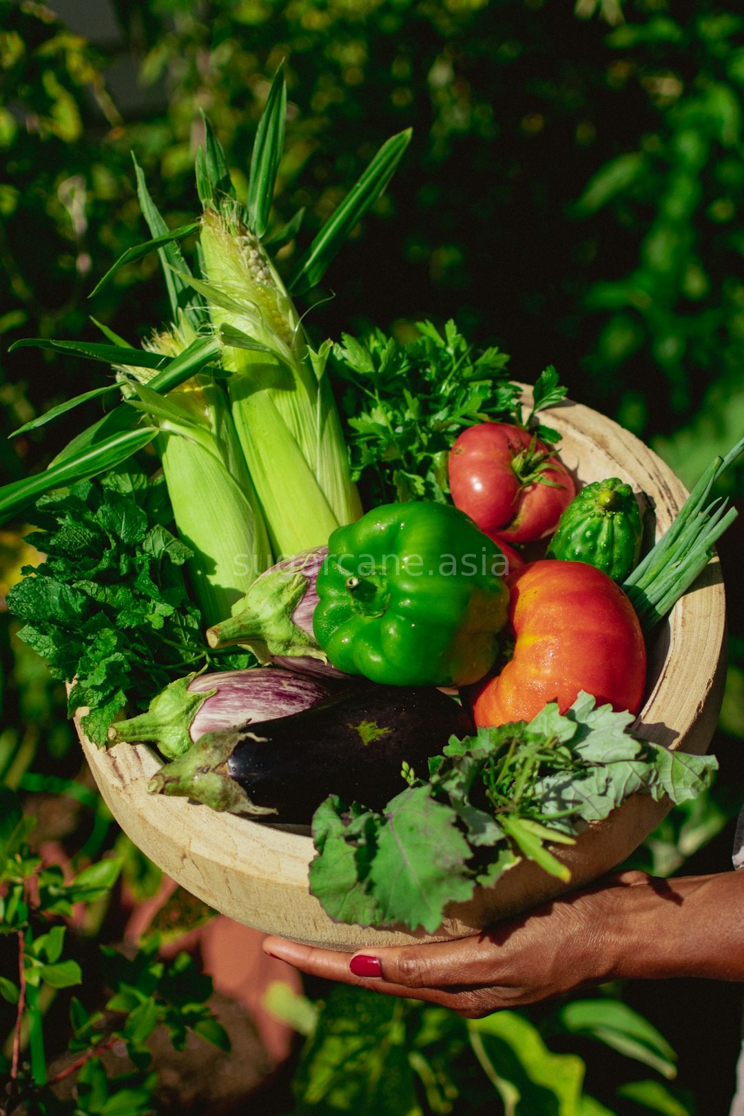 Fresh Farm Produce